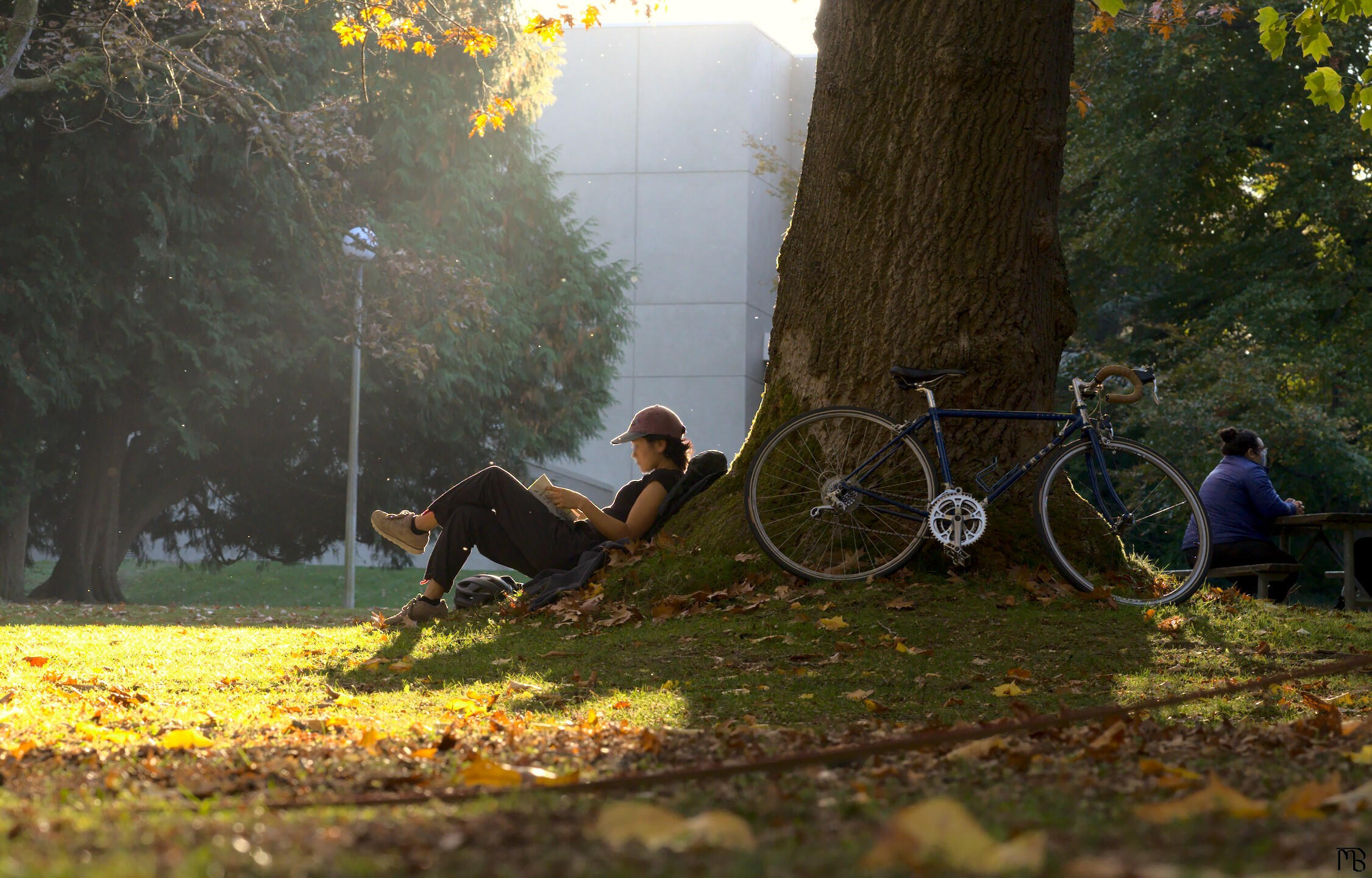 Woman reading in the sun at the park