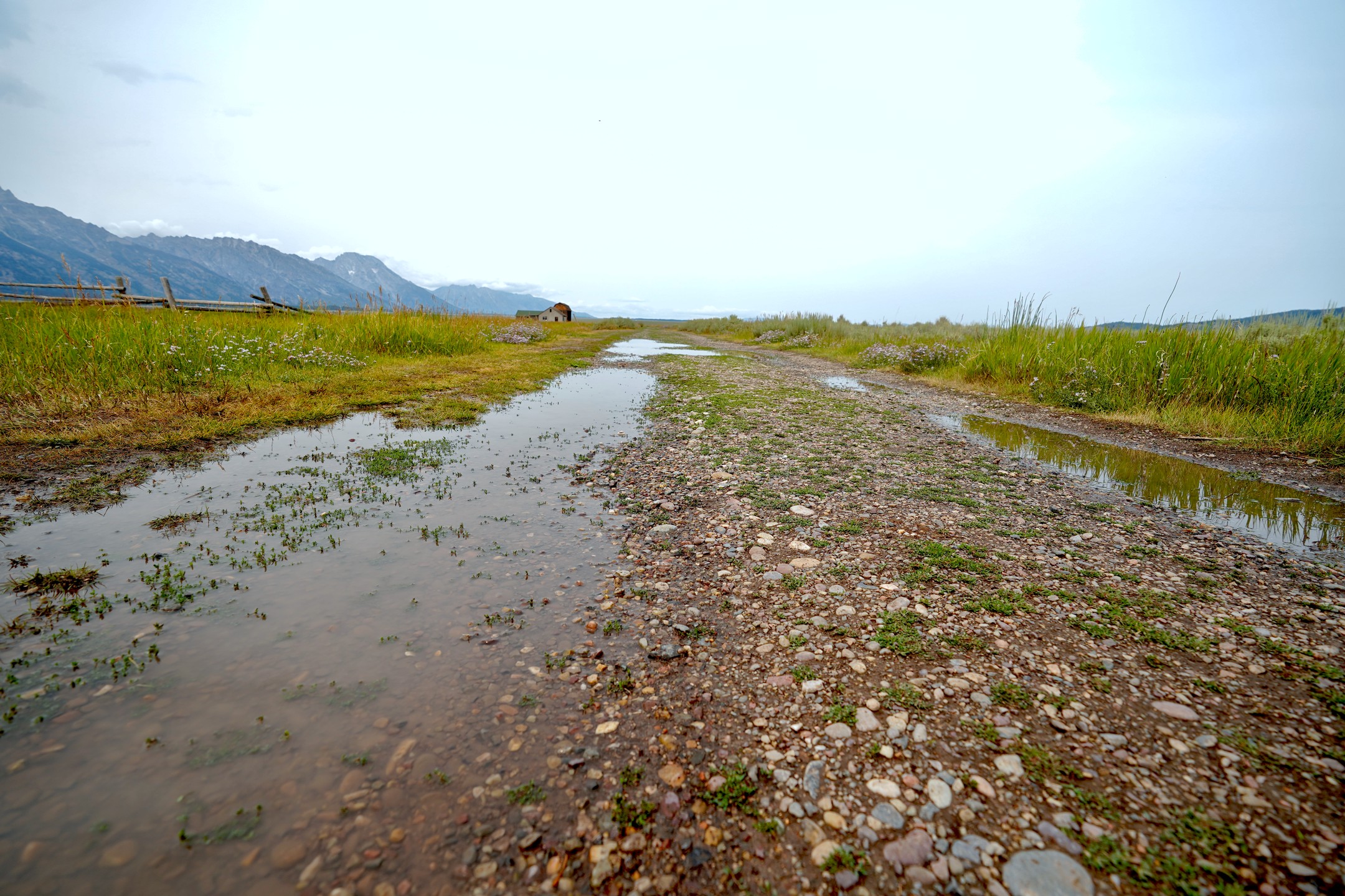 A gravel road through Morman row at Grand Teton