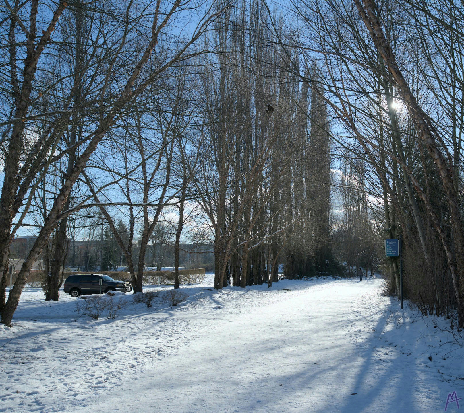 Path covered in snow surrounded by leafless trees