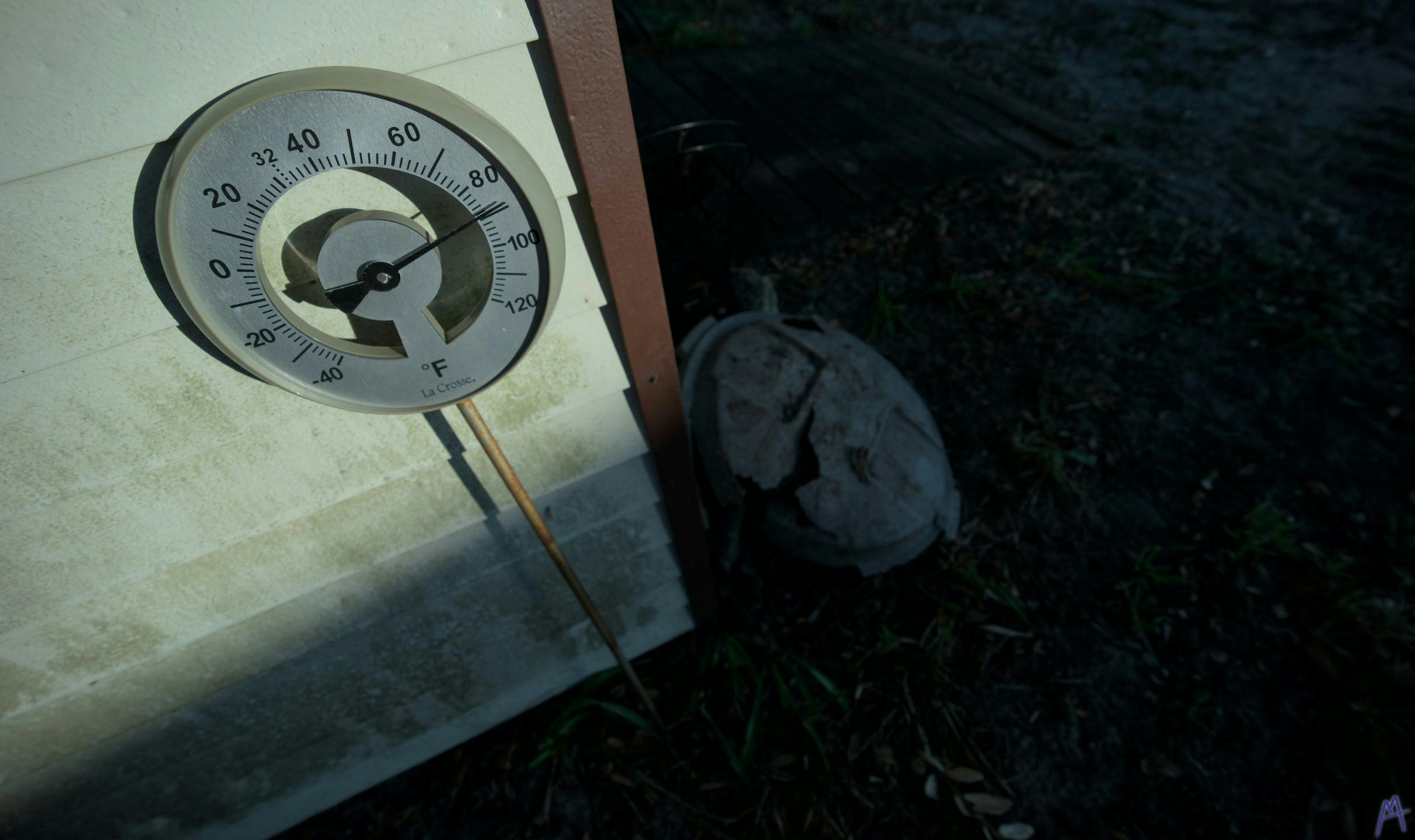 Very tall thermometer near an old shed