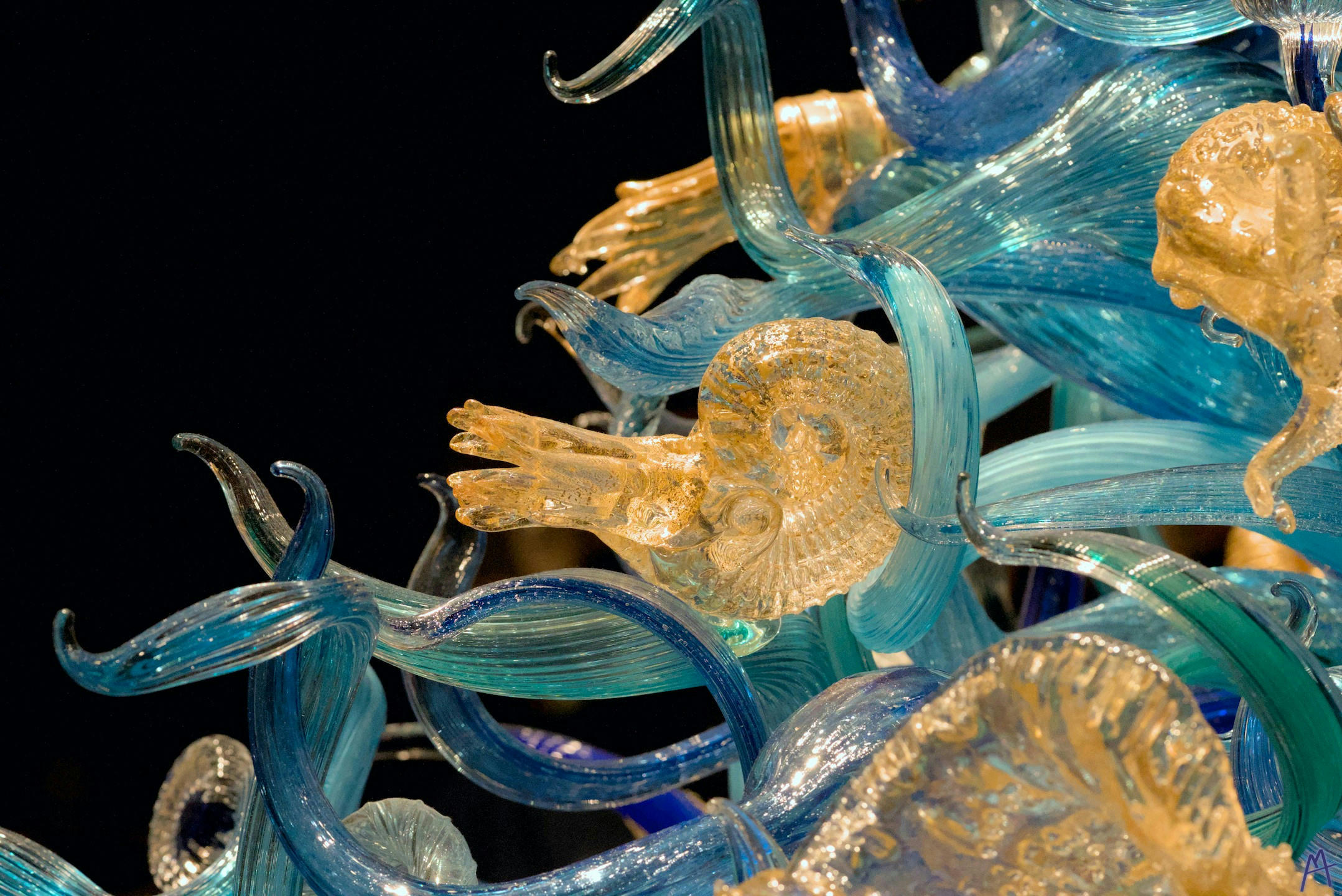 Yellow nautalus in a blue glass statue