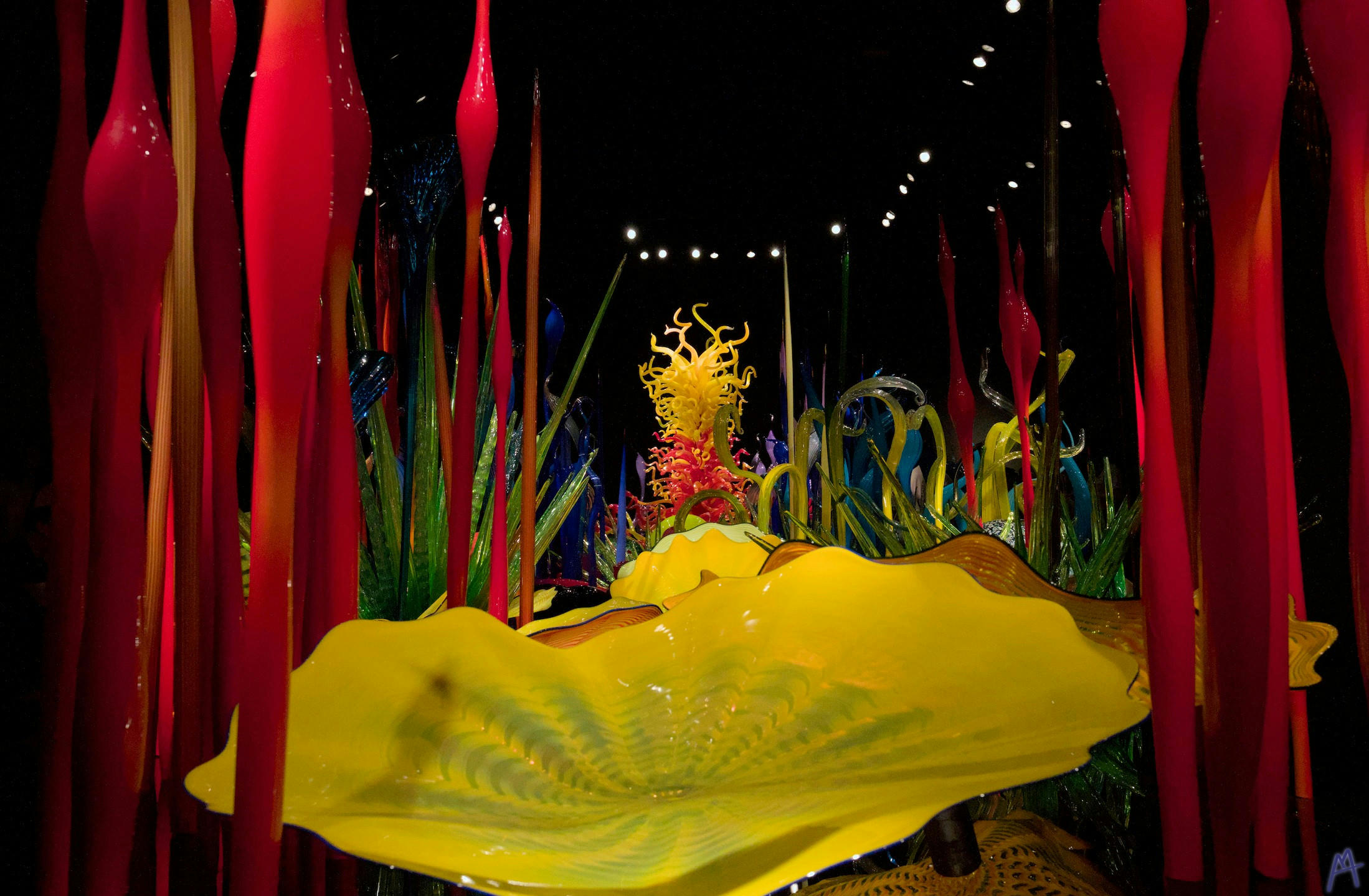 Yellow and red glass plants in a glass garden